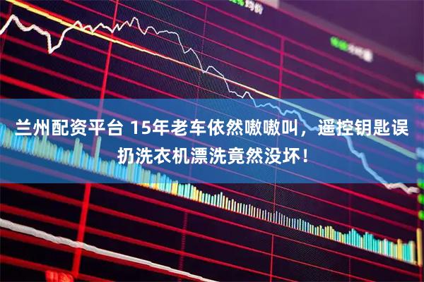 兰州配资平台 15年老车依然嗷嗷叫，遥控钥匙误扔洗衣机漂洗竟然没坏！