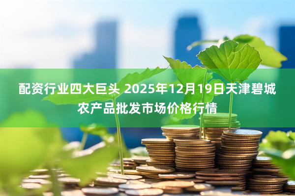 配资行业四大巨头 2025年12月19日天津碧城农产品批发市场价格行情